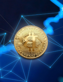 RelyBytes